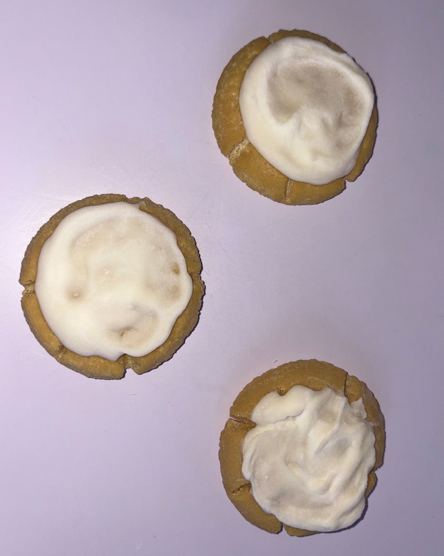 Oatmeal Cream Cookie Wax Melts